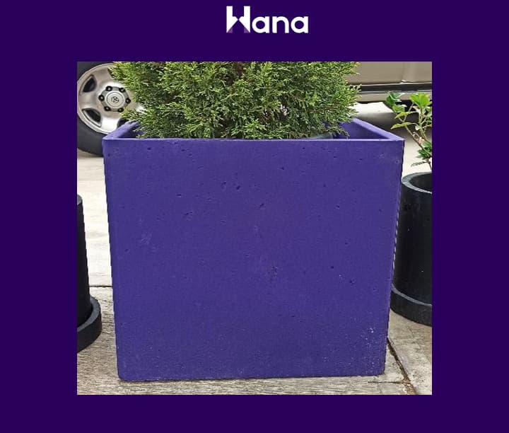 BETON GUL GORSOK KWADRAT 50*50 — Hana ürünü