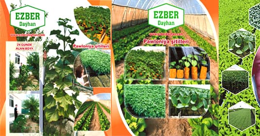 Ezber Dayhan — company cover photo