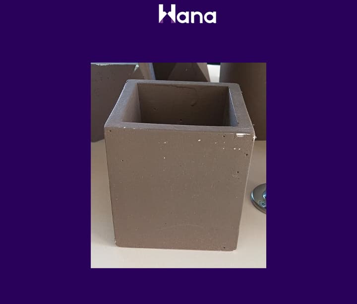 BETON GIPS GUL GORSOK — Hana ürünü
