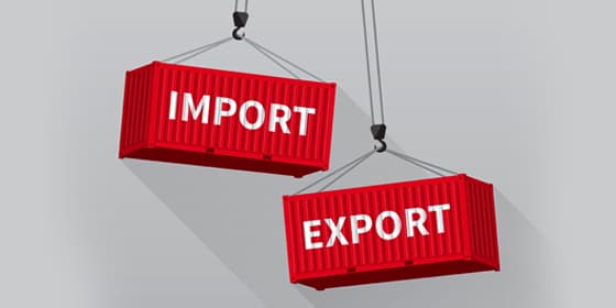 Export Import World Tm — company cover photo