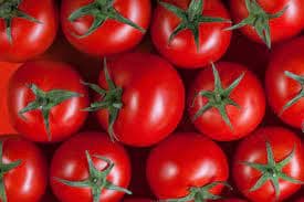 tomatoes — product photo