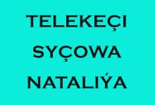 Entrepreneur Sychova Natalia Gennadievna logo