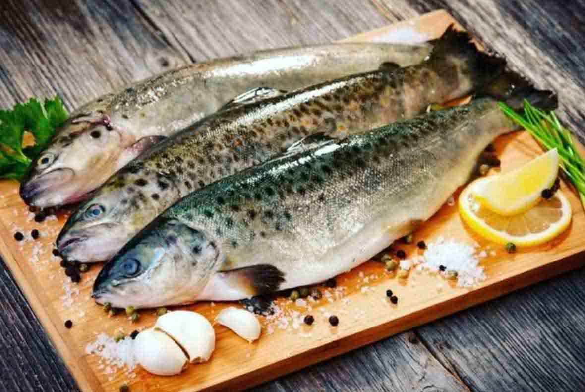 low-salted cold-smoked fatty atlantic herring fillet — product photo