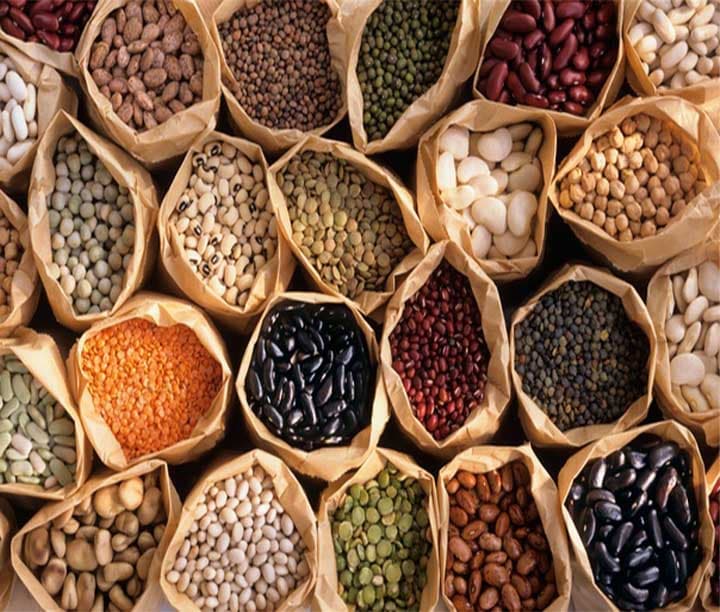 legumes — product photo