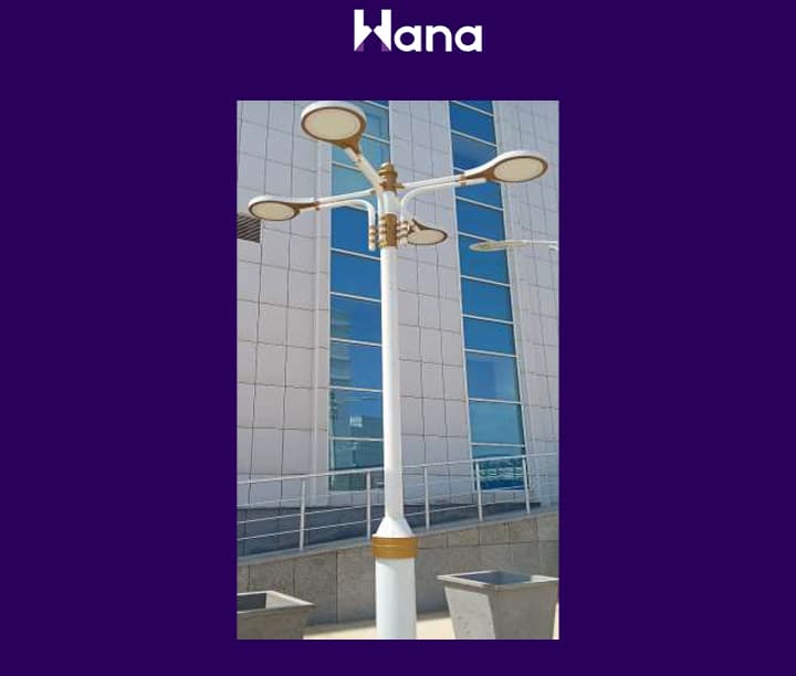 TORSER 4 ŞAHALY (SPOT TIRSEK) — Hana önümi