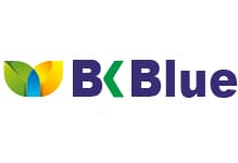 BIR Kuwwat logo