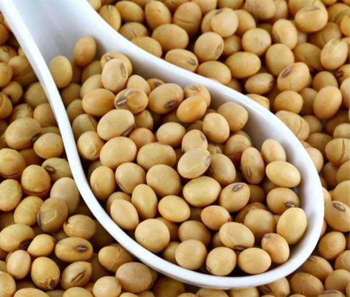 soy — product by Gayrat Agro