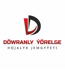 Dy.print.chaphana logo