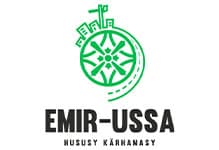 Emir Ussa logo