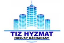 Tiz Hyzmat logo