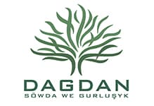 Dagdan Sowda WE Gurlushyk logo
