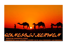 Guneshli Kerwen logo