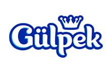 Hunarli Yol logo