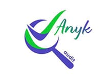 Anyk Audit logo