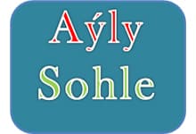 Ayly Shohle logo