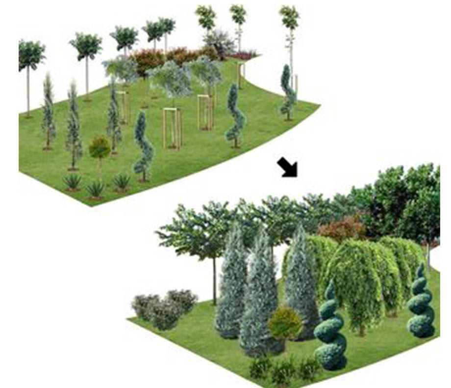 OUTDOOR DESIGN