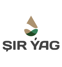 ŞIR ÝAG
