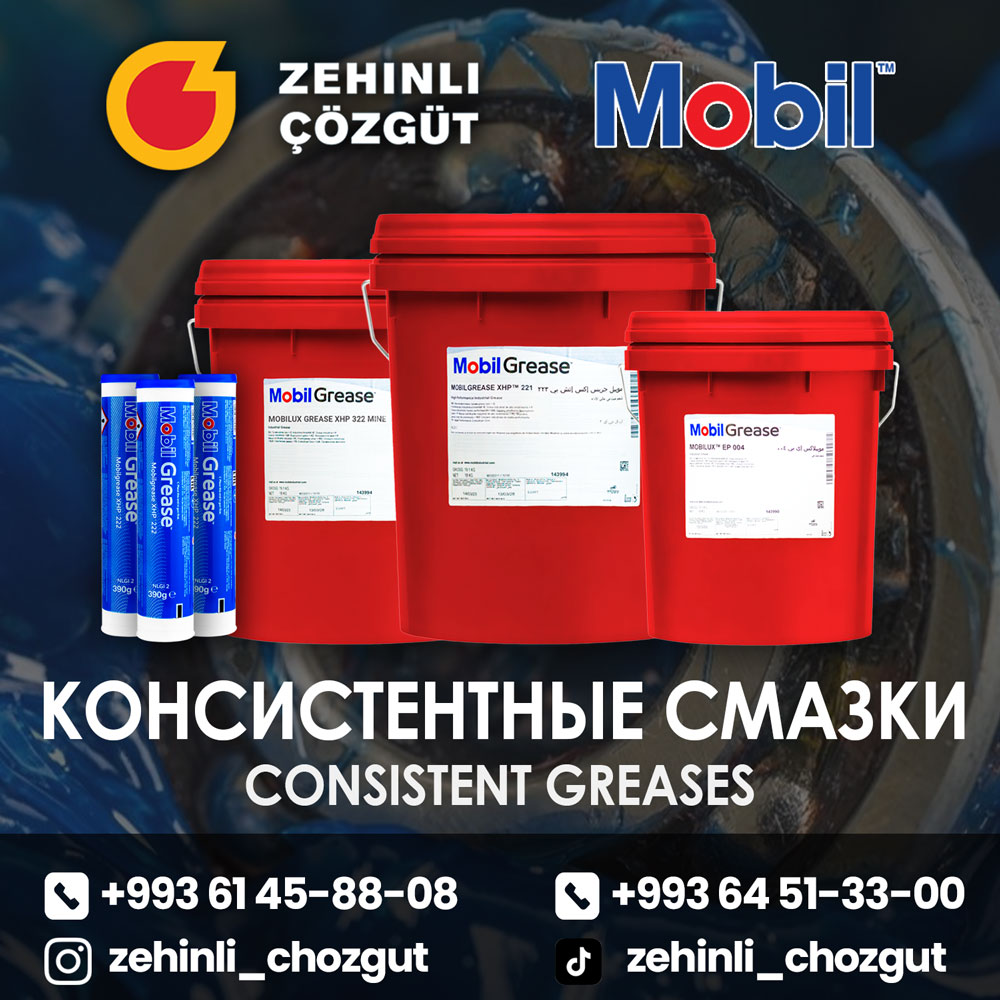 "ZEHINLI ÇÖZGÜT" HJ