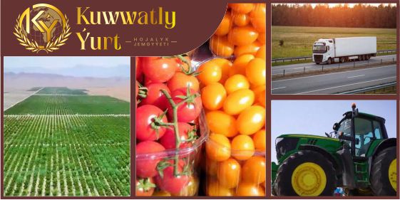 Kuwwatly ýurt