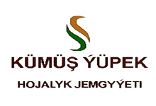 kümüş ýüpek