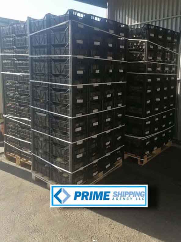 prime shipping agency